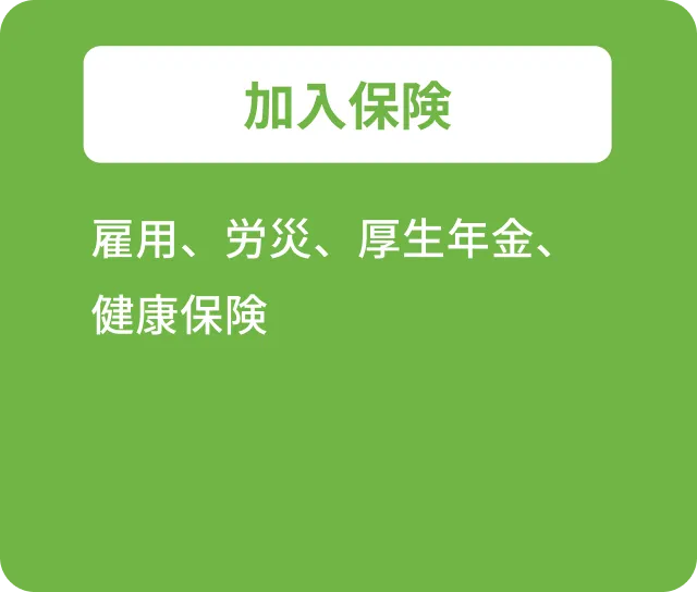 加入保険 雇用、労災、厚生年金、健康保険