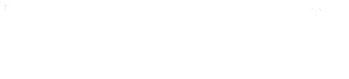 ローカルエナジーシステムとは